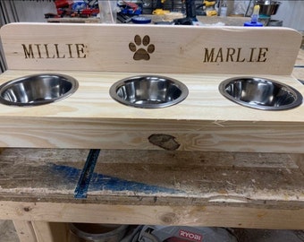 Personalized Raised Pet Feeder: Stainless Bowls, Cat & Small Dog Diner