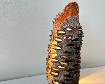 Banksia Dimmable Lamp With Natural Live Edge Ambient Light Lighting