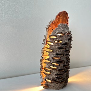 Banksia Dimmable Lamp With Natural Live Edge Ambient Light Lighting