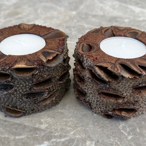 Banksia Tea Light Candle Holders With Natural Live Edge - Set Of 2