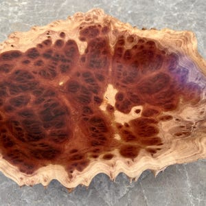 Red Mallee Burl Bowl With Natural Live Edge