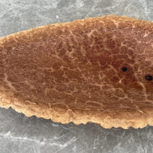 Red Mallee Burl Bowl With Natural Live Edge