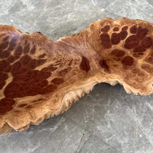 Red Mallee Burl Bowl With Natural Live Edge