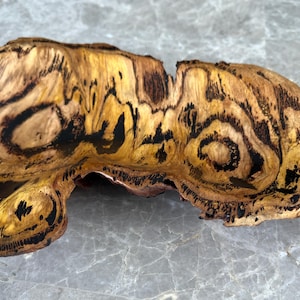 Blackbutt Burl Bowl With Natural Live Edge