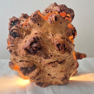 Op de afbeelding: Een unieke, verlichte houten sculptuur. Het natuurlijke hout heeft een complexe, getextureerde oppervlakte met verschillende knopen en gaten. Warm licht komt van binnenuit, wat de organische vorm en ingewikkelde details van het wortelhout benadrukt.