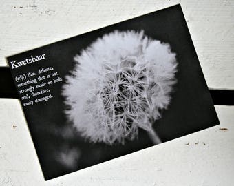 Photo card, delicate, postcard, cards, loss, grief, black & white, floral, flower, dandelion, fragile, kaart, ansichtkaart, verlies, teer