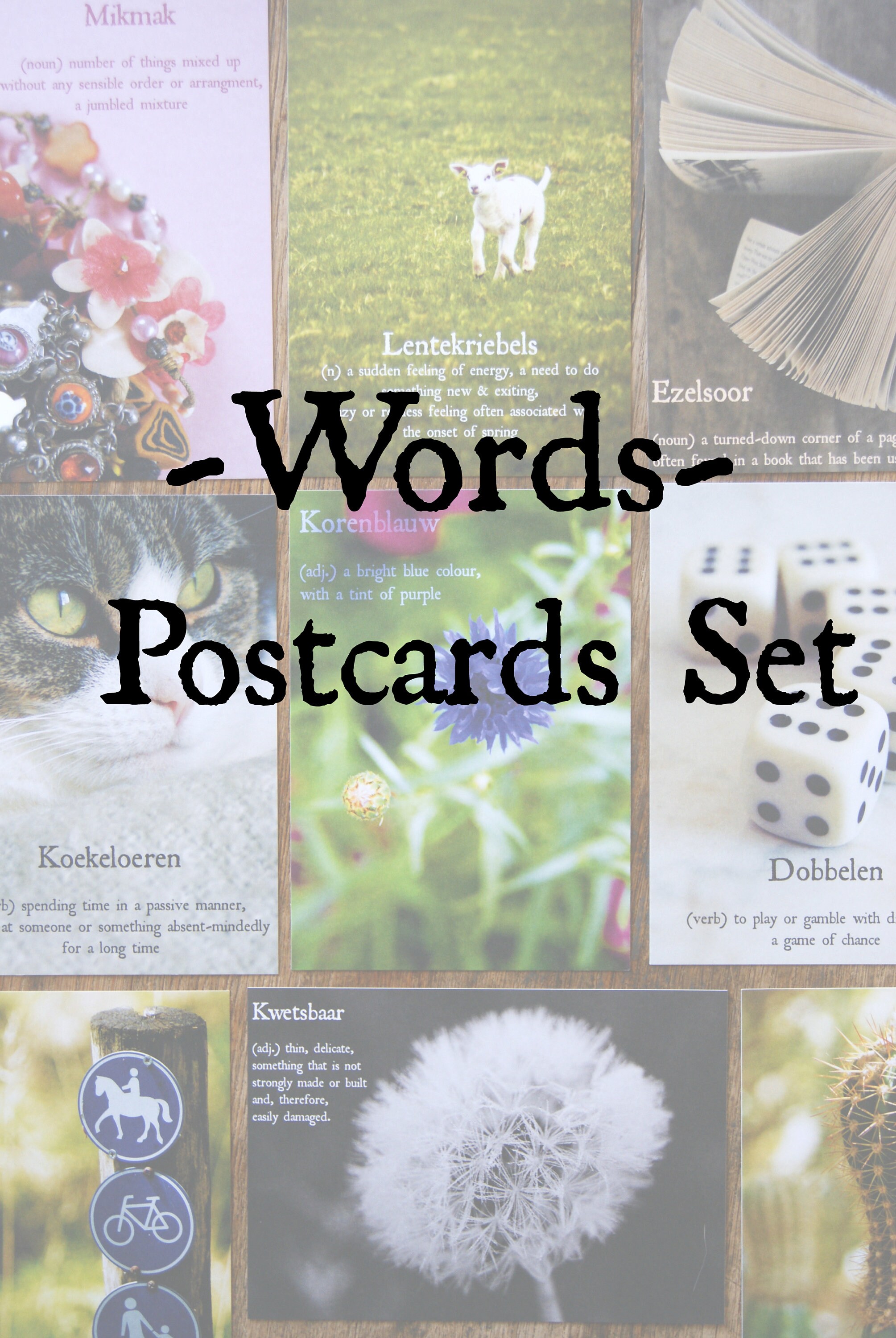Weltenfänger Card Set Combo Box – Word And Number Learning Cards For Kids Age 6+, Includes 132 Task Cards - View #6
