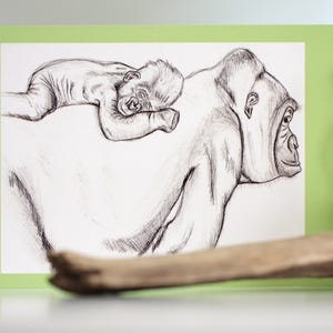 Tarjeta de felicitación del gorila, gorila, tarjeta de felicitación, animales en peligro de extinción, especies en peligro de extinción, impresiones de animales, arte africano, simio, impresión de la selva, tarjetas