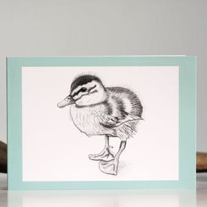 Cartolina d'auguri di anatroccolo, uovo d'anatra blu, schizzo a matita, anatroccolo, uccelli, animali del bosco, arte della fauna selvatica, anatroccolo stampa