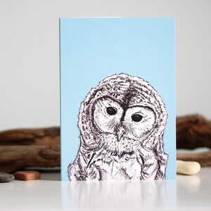 Carte di gufo d'auguri, carte, civetta, fauna selvatica, stampa artistica, gli animali del bosco, di uccello saggio, fauna selvatica, Wildlife Arte stampa, stampa di piume