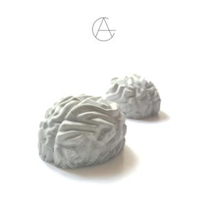 May include: Two gray concrete brain sculptures on a white background. The sculptures are detailed with visible ridges and folds, mimicking the shape of a human brain. A minimalist logo is in the upper left corner.