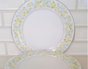 Translucent Fine China - Etsy