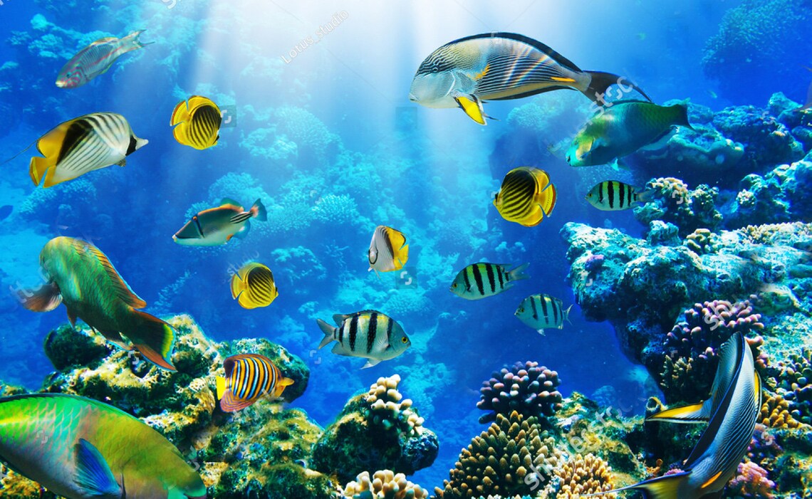 3D Ocean Wallpaper 3D Wall Sticker Wall Decor Peel and Stick | Etsy