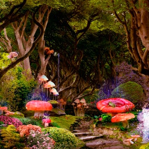 Magic Mushrooms Wallpaper Magic Enchanted Forest Wall Mural Fairy Mushrooms Kids Room Wall Paper Nursery Charmed Wood Mural Customizable