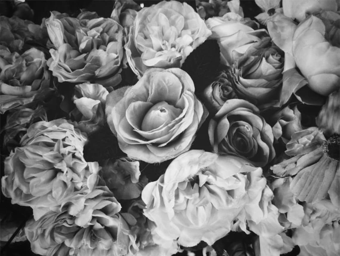 Black White Peony Flower Wallpaper Wall Sticker Gray Etsy