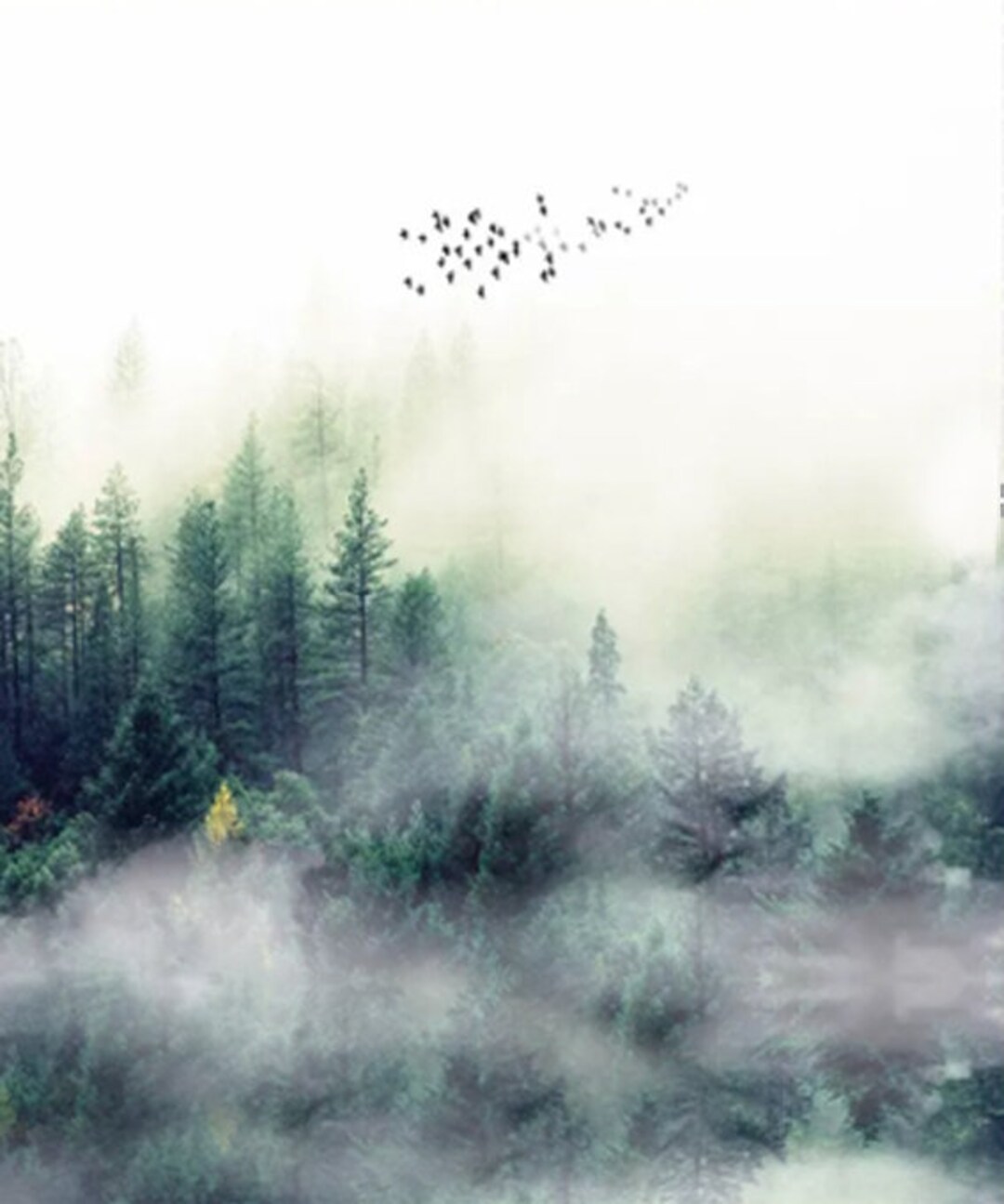 Birds Fog Green Trees Vinyl Varnish Wallpaper Exclusive Design Etsy