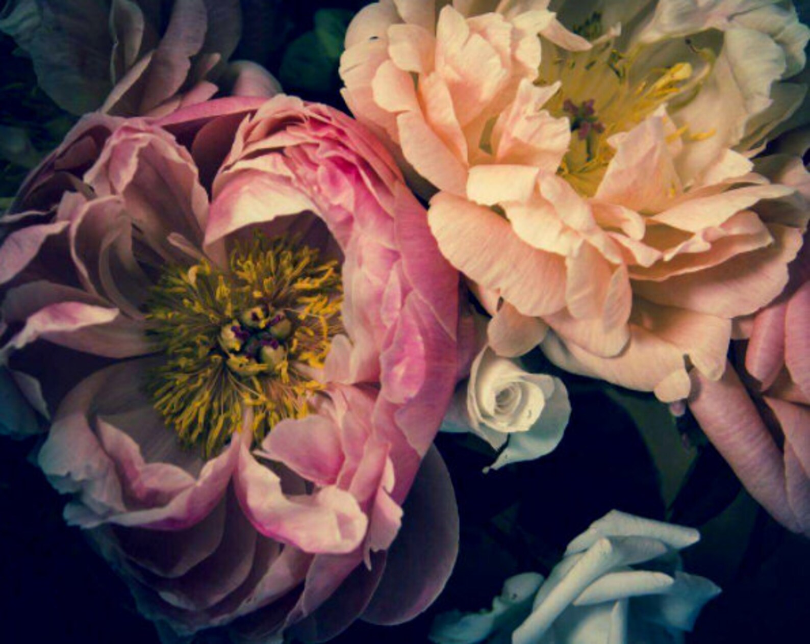 3D Flower Wallpaper 3D Wall Sticker Wall Decor Peel and Stick - Etsy