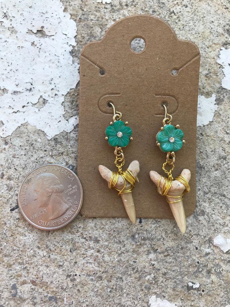 Wrapped fossilized shark teeth and flower shell earrings in gold tone