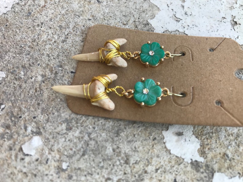 Wrapped fossilized shark teeth and flower shell earrings in gold tone