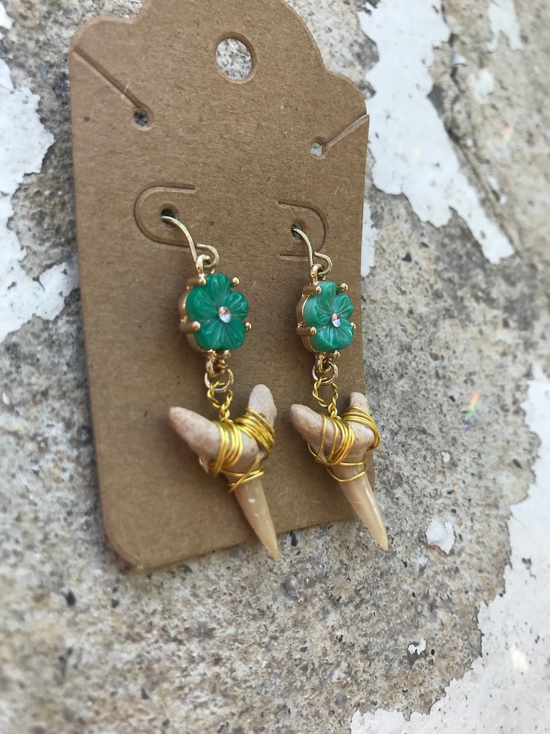 Wrapped fossilized shark teeth and flower shell earrings in gold tone