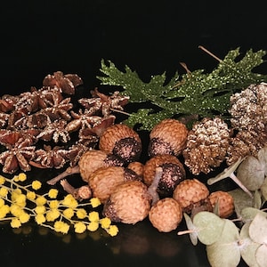May include: A collection of brown acorns, gold glitter pine cones, and star anise pods arranged on a black background.