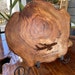 see more listings in the Wood Serving Boards section
