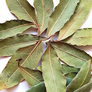 Dried Laurel Leaves, natural organic homemade Laurel from Spain