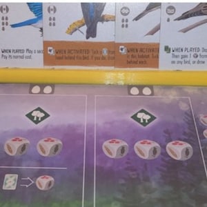 Wingspan Player Dashboard