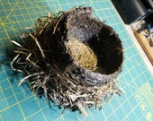 Natural Ground Found Bird 39 s Nest Lacquered for Stability Approx. 6 quot x6 quot x6 quot , Use in Crafts, Dioramas, Sculptures, Etc.