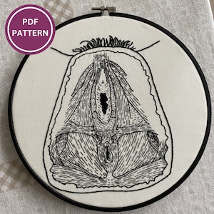Large Female Peritoneal Muscle PDF Embroidery Pattern