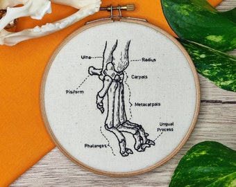 Labelled Canine | Dog Paw Anatomy PDF Embroidery Pattern