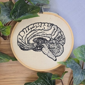 Human Brain Anatomy Embroidery Pattern PDF, Vintage Inspired
