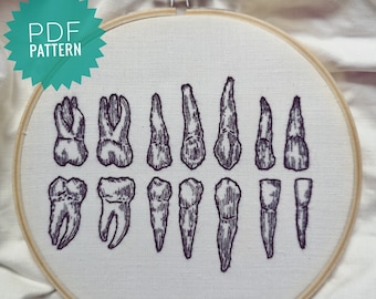 Human Teeth Anatomical PDF Embroidery Pattern