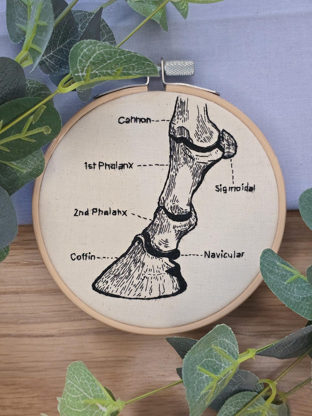 Horse Hoof Anatomy Embroidery Pattern PDF, Labelled Diagram - Etsy