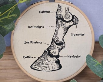 Horse Hoof Anatomy Embroidery Pattern PDF, Labelled Diagram