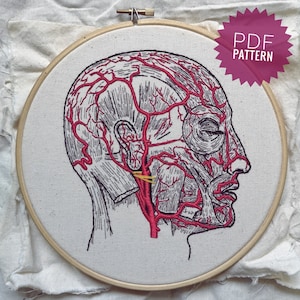 Human Head Blood Vessels Anatomical PDF Embroidery Pattern || Gray&#39;s Anatomy Vintage Illustration