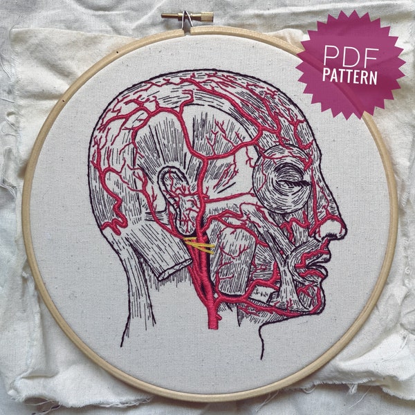 Human Head Blood Vessels Anatomical PDF Embroidery Pattern || Gray's Anatomy Vintage Illustration