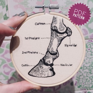 Horse Hoof Labelled Anatomical PDF Embroidery Pattern