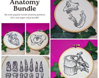 Pacote de Moldes de Bordado em PDF com Tema de Anatomia Humana