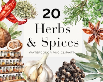 Watercolor Herbs & Spices Clipart, Commercial Use, Herb Clipart, Cooking Clipart, Instant Download, Watercolor Herbs