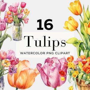 Aquarel Tulip Clipart, Instant Download, Spring Clipart, Botanische Clipart, Floral PNG
