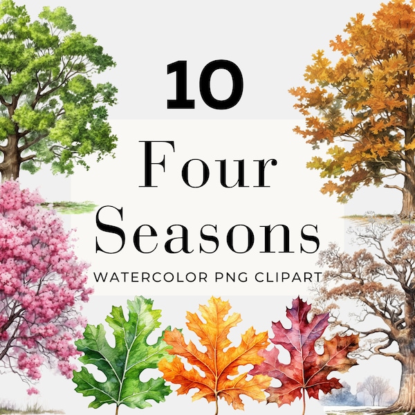 Watercolor Four Seasons Tree Clipart, Instant Download, Tree PNG, Seasonal Clipart