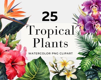 Watercolor Tropical Clipart: Flowers & Leaves PNG Bundle (Digital Download)