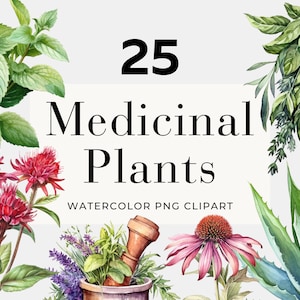 Imágenes prediseñadas de plantas medicinales en acuarela, descarga instantánea, hierbas medicinales, imágenes prediseñadas de hierbas