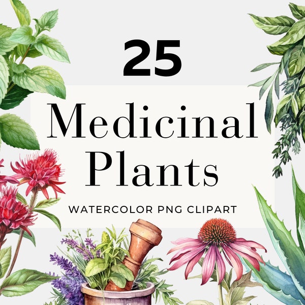 Watercolor Medicinal Plant Clipart, Instant Download, Medicinal Herbs, Herb Clipart