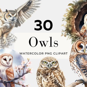 Aquarelle hibou Clipart, téléchargement immédiat, hibou PNG, oiseau Clipart