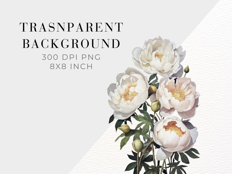 Watercolor White Peonies Clipart, Instant Download, Botanical Clipart ...
