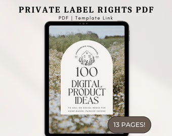 100 Digital Product Ideas  PDF PLR digital product  passive income  MRR  Private Label Rights Master Resell Rights  done for you