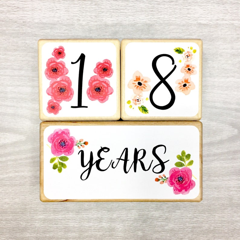 Baby Girl, Baby Age Blocks, Baby Milestone Blocks, Baby Photo Props, Monthly Baby Blocks, Baby Accessories, Baby Gift, Nursery Decor, Shower image 4