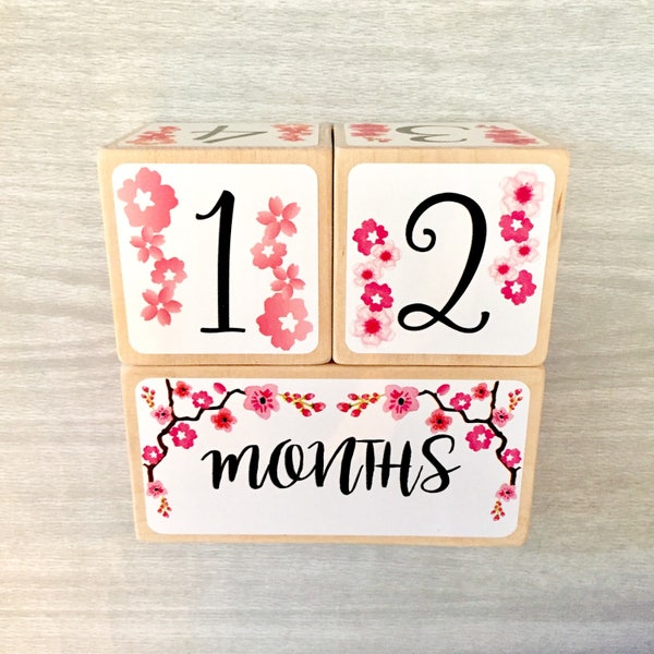 Baby Age Blocks - Baby Milestone Blocks - Cherry Blossom Flowers - Newborn Girl- Monthly Weekly Yearly Baby Blocks - Baby Shower Gift